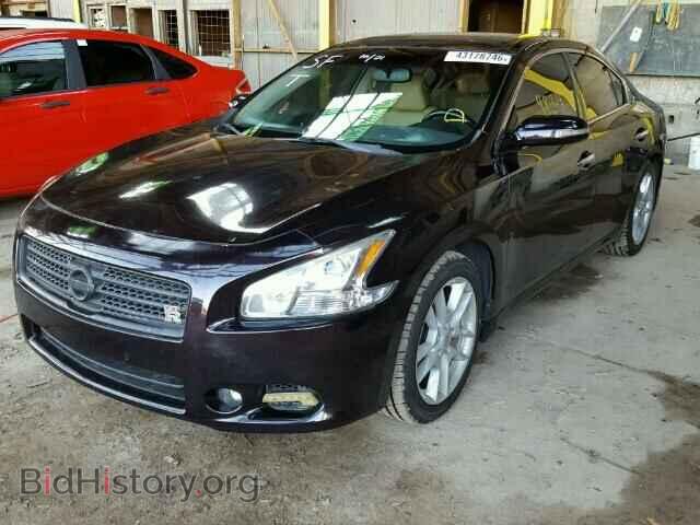 2010 NISSAN MAXIMA - VIN: 1N4AA5AP9AC871169 - Фото 2