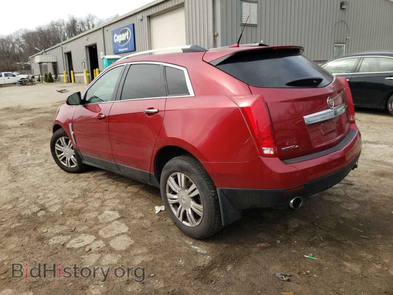 2011 CADILLAC SRX - VIN: 3GYFNDEY0BS557627 - Фото 2