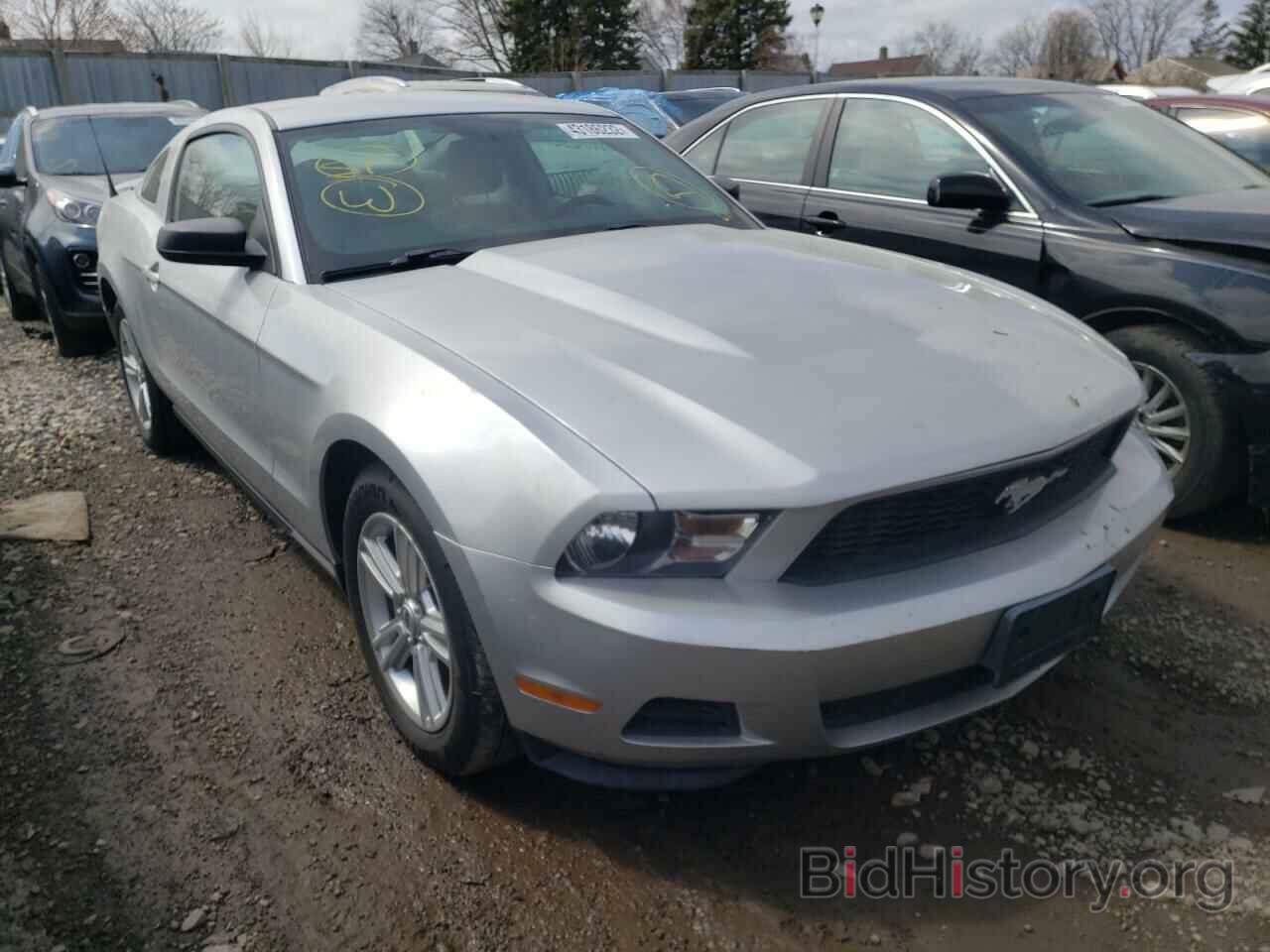 Photo 1ZVBP8AN9A5164572 - FORD MUSTANG 2010