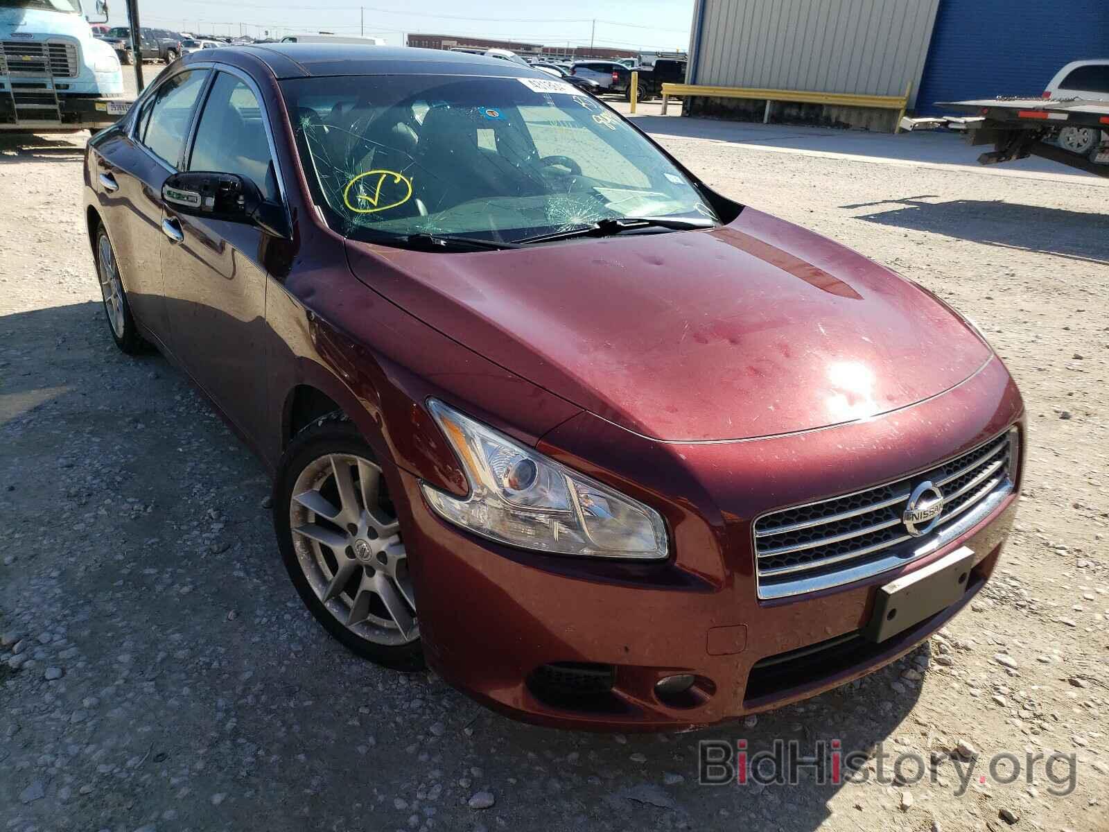 Photo 1N4AA5AP3AC849393 - NISSAN MAXIMA 2010