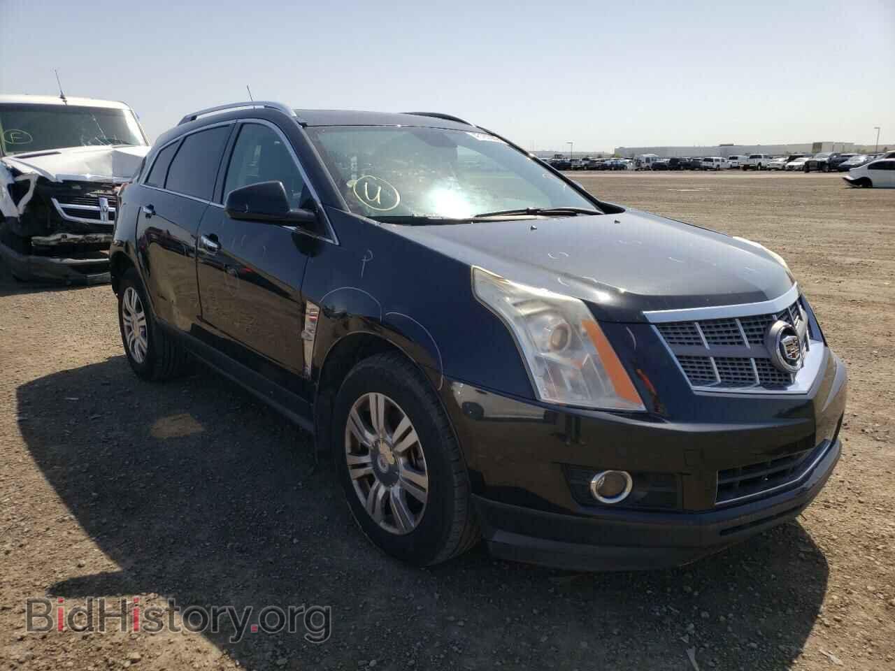 Photo 3GYFNAEY5BS534519 - CADILLAC SRX 2011