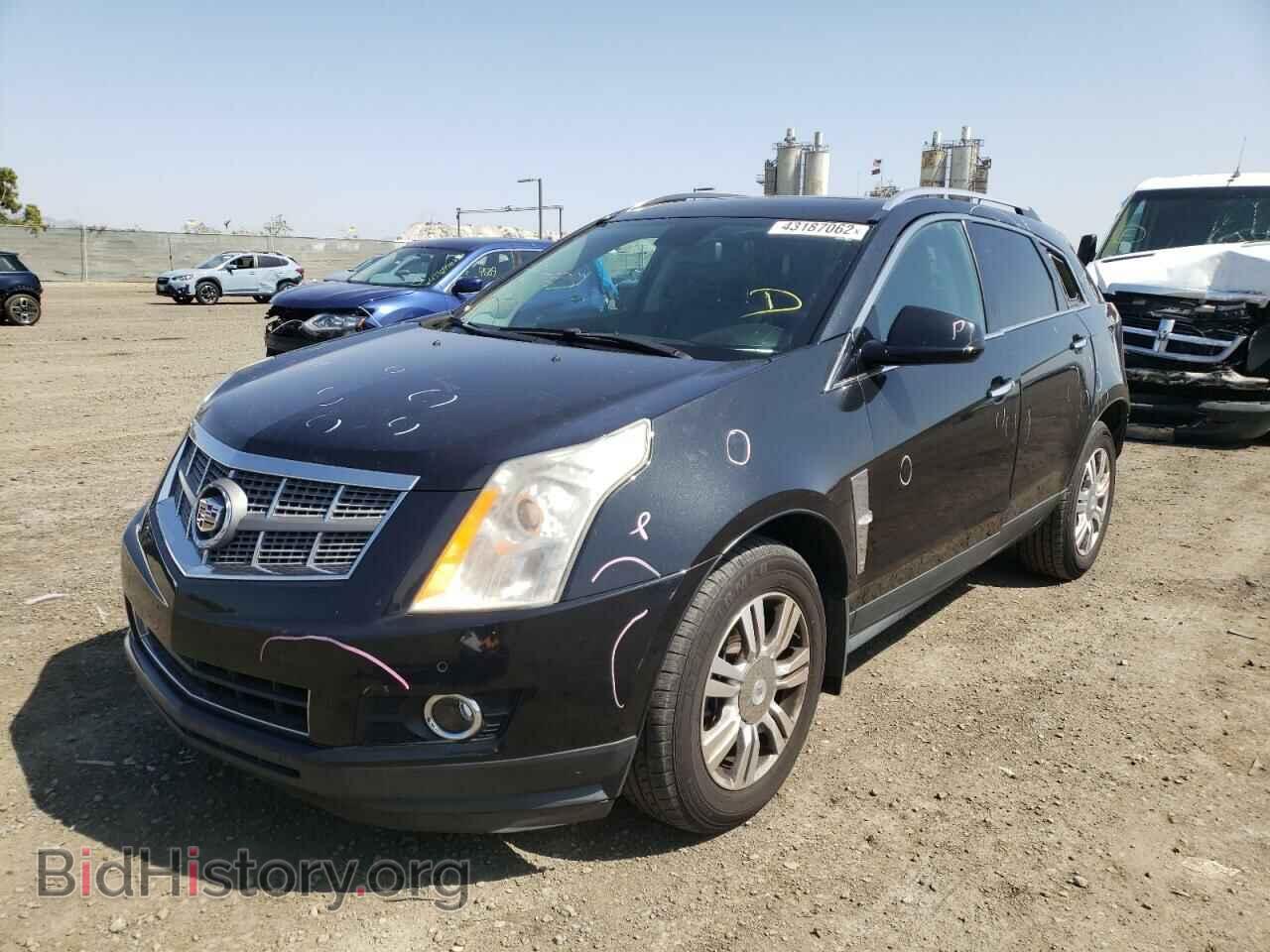 2011 CADILLAC SRX - VIN: 3GYFNAEY5BS534519 - Фото 2