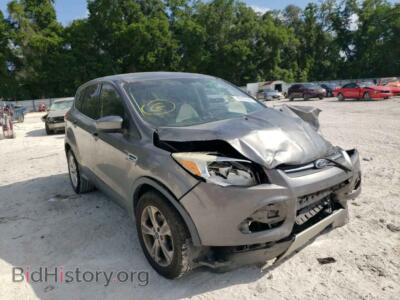 2014 Ford ESCAPE Escape SE, серый — VIN 1FMCU0GX9EUA66854, Copart