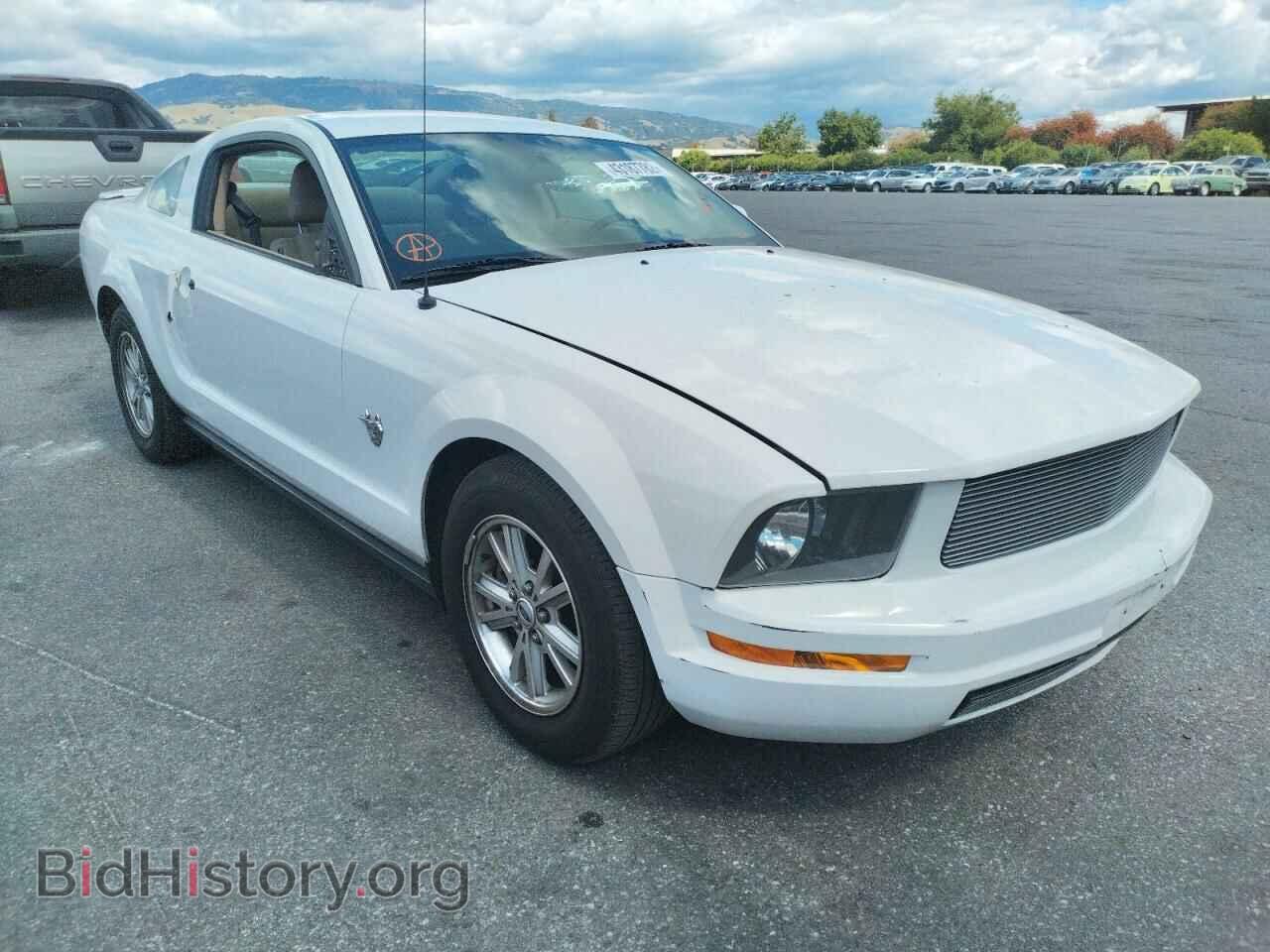 Фотография 1ZVHT80N695122251 - FORD MUSTANG 2009