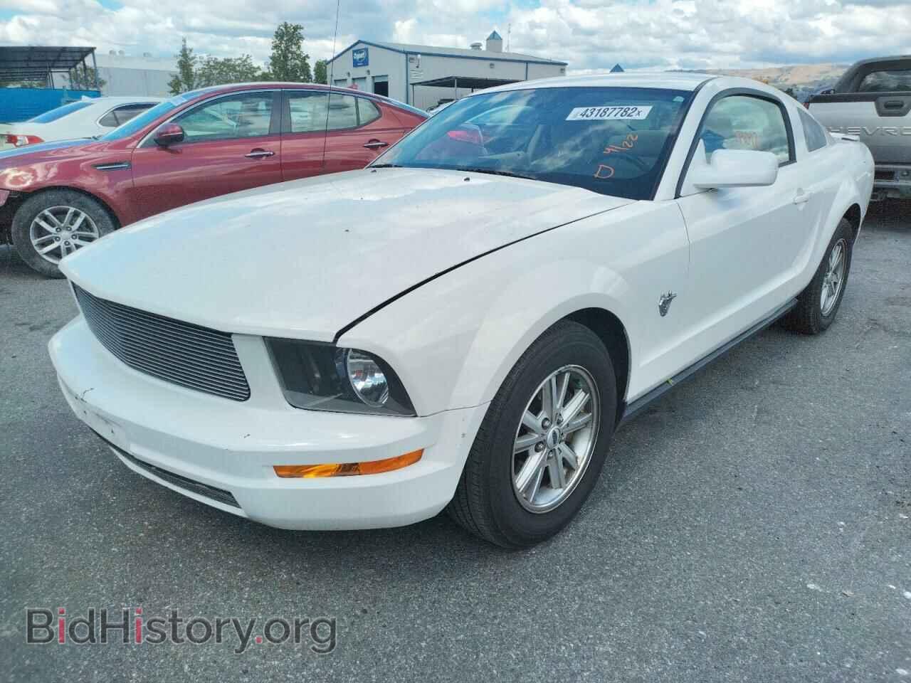 2009 FORD MUSTANG - VIN: 1ZVHT80N695122251 - Фото 2