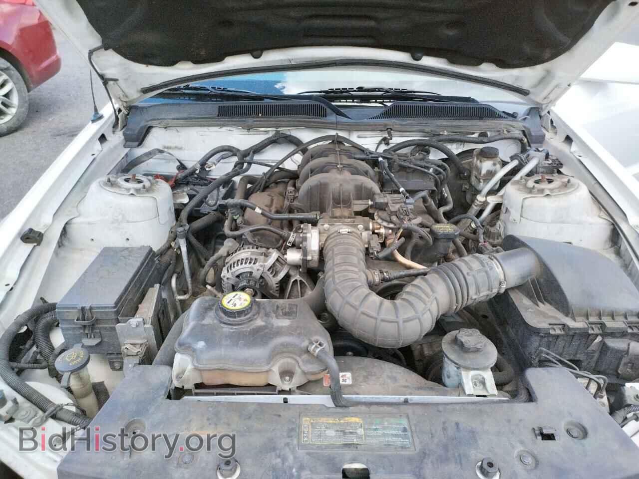 2009 FORD MUSTANG - VIN: 1ZVHT80N695122251 - Фото 7