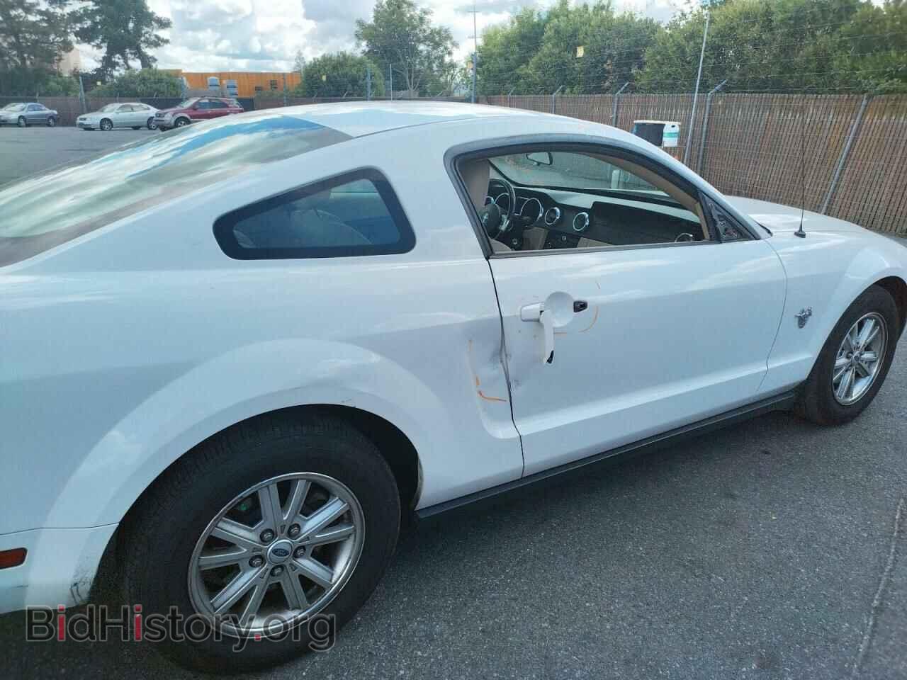 2009 FORD MUSTANG - VIN: 1ZVHT80N695122251 - Фото 9