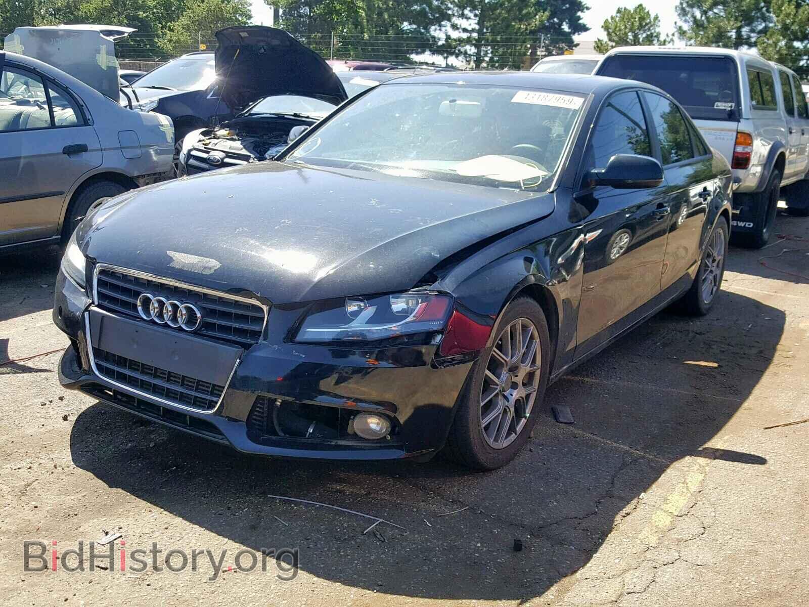 2010 AUDI A4 - VIN: WAUBFAFL0AN034729 - Фото 2