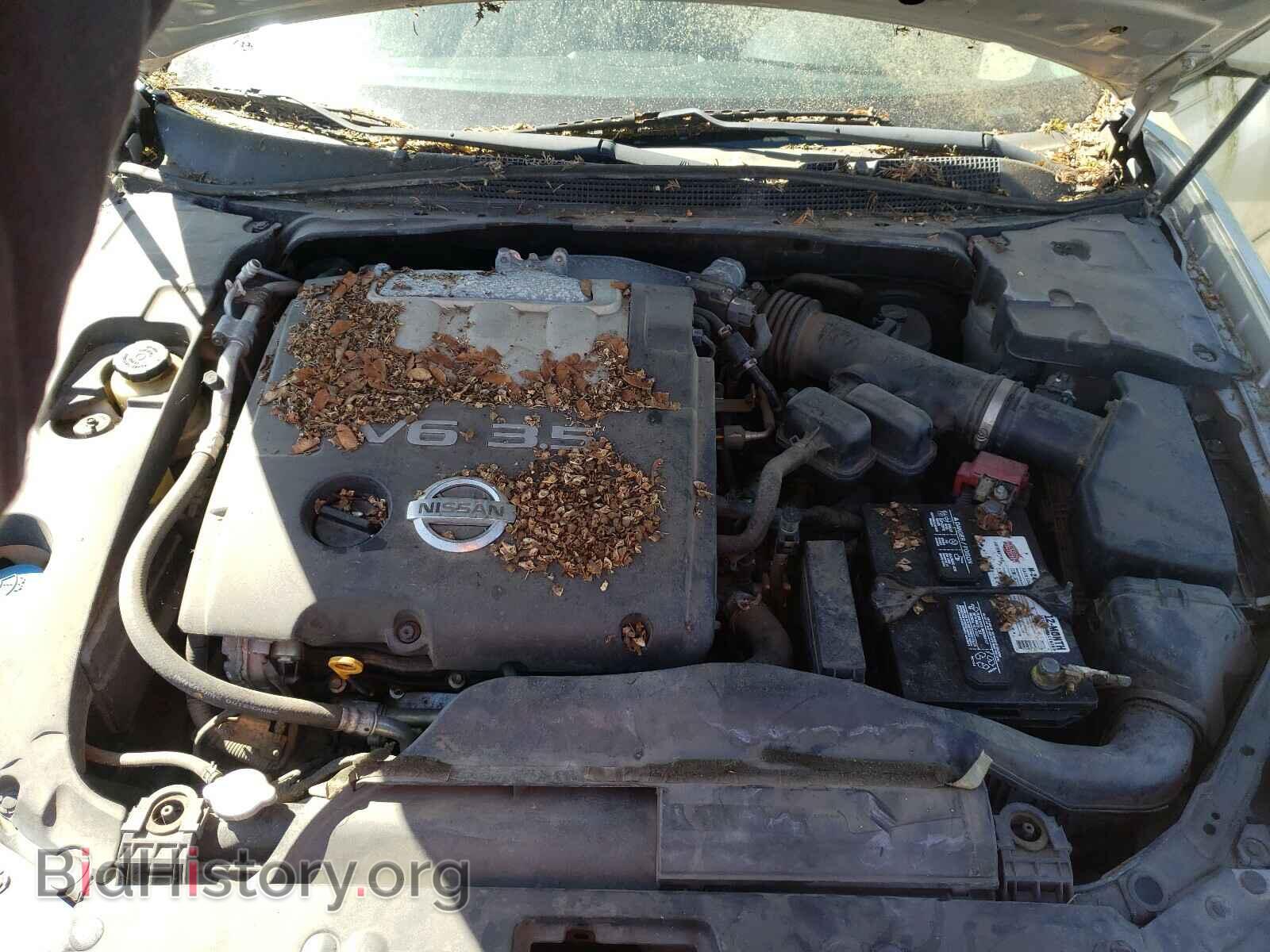 2006 NISSAN MAXIMA - VIN: 1N4BA41E17C819086 - Фото 7