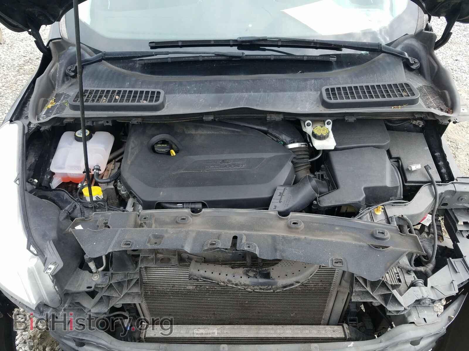 2014 FORD ESCAPE - VIN: 1FMCU0GX5EUD32208 - Фото 7