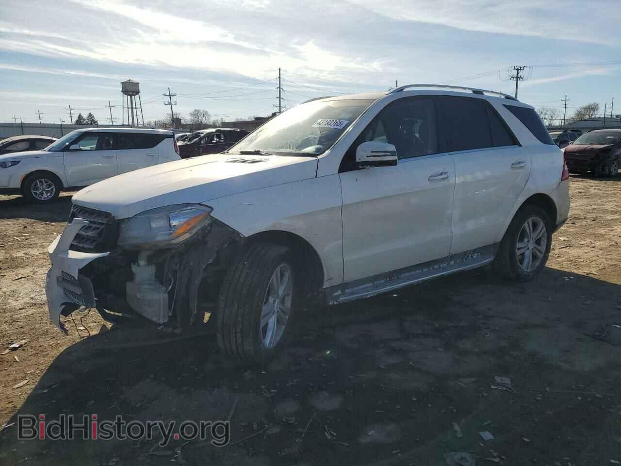 Фотография 4JGDA5JB9EA390489 - MERCEDES-BENZ M-CLASS 2014