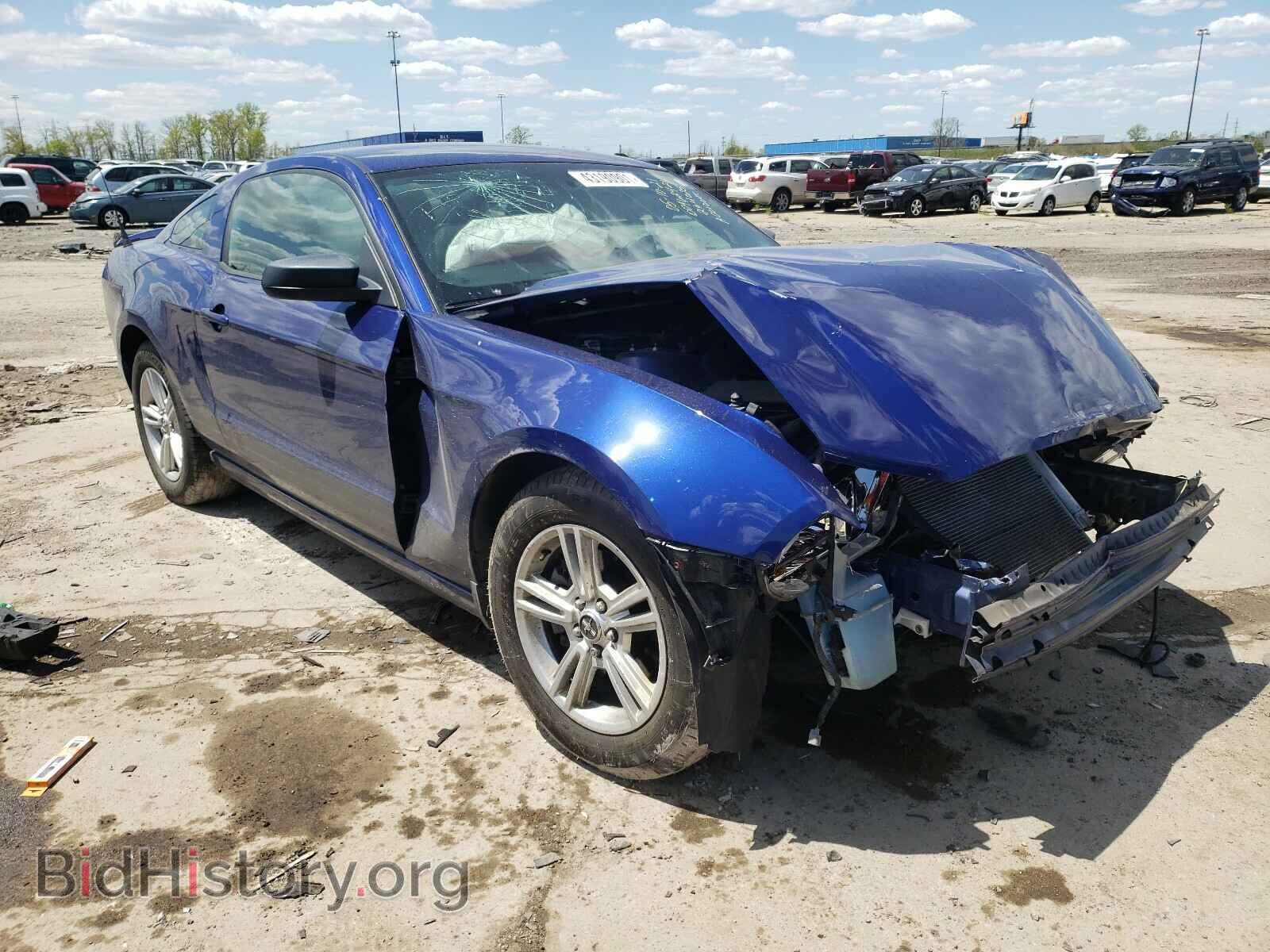 Photo 1ZVBP8AM4D5264025 - FORD MUSTANG 2013