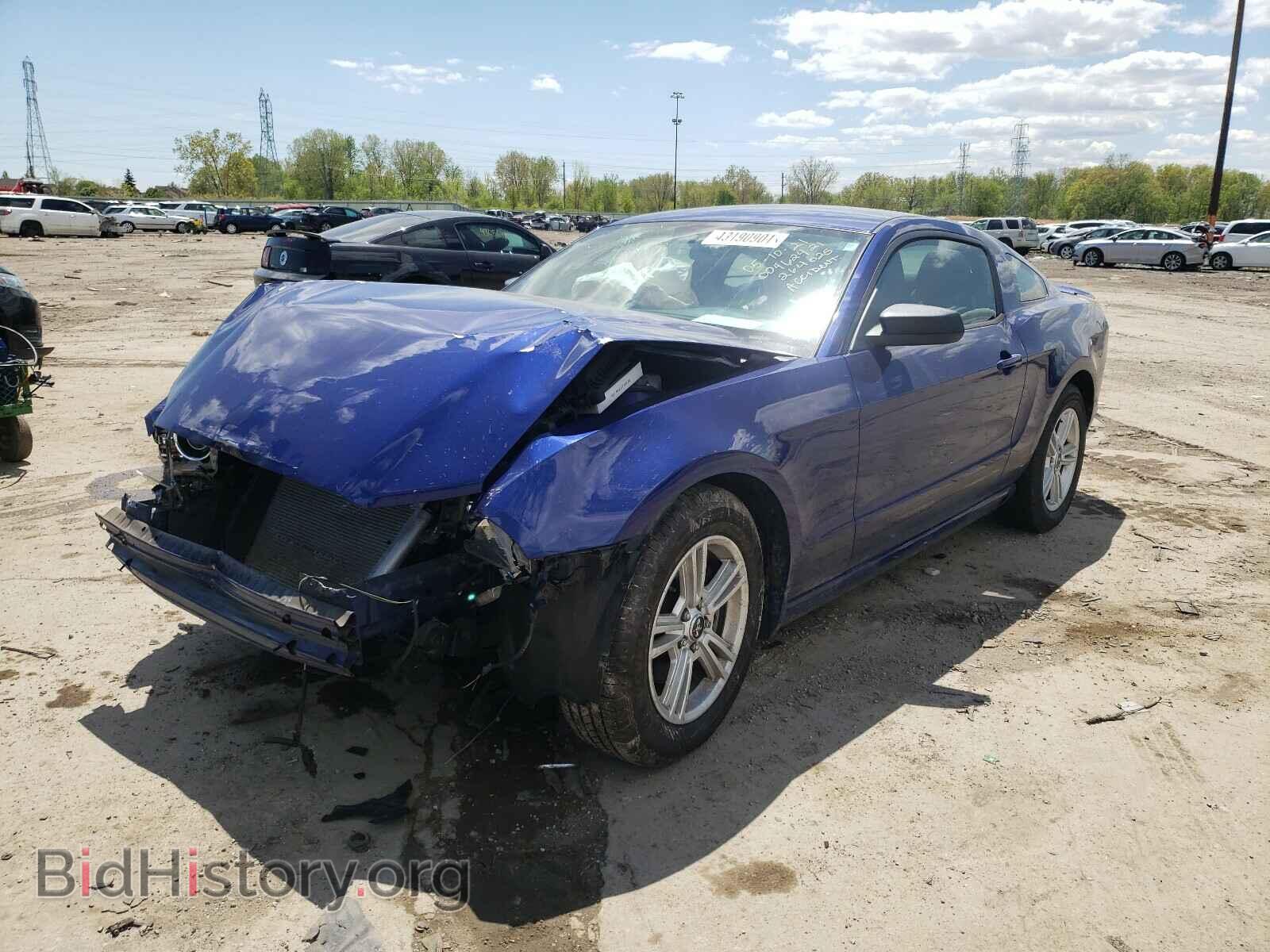 2013 FORD MUSTANG - VIN: 1ZVBP8AM4D5264025 - Фото 2