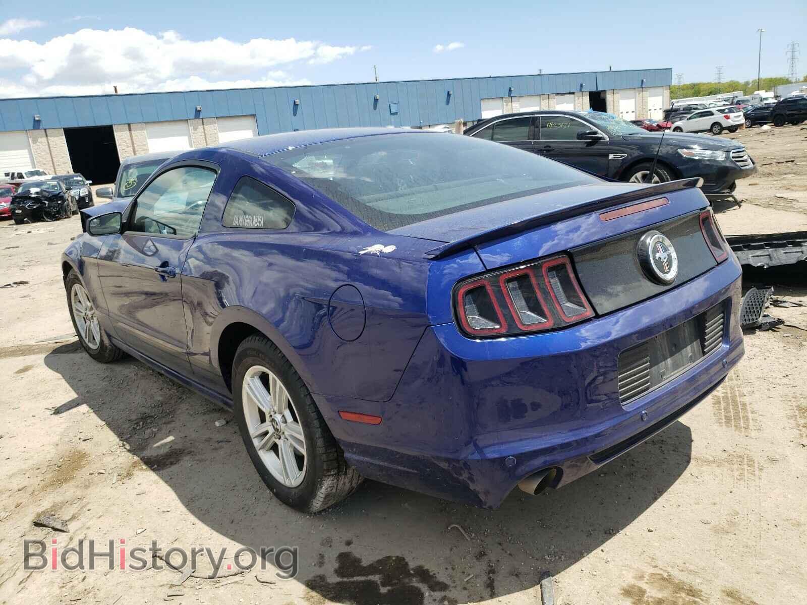 2013 FORD MUSTANG - VIN: 1ZVBP8AM4D5264025 - Фото 3
