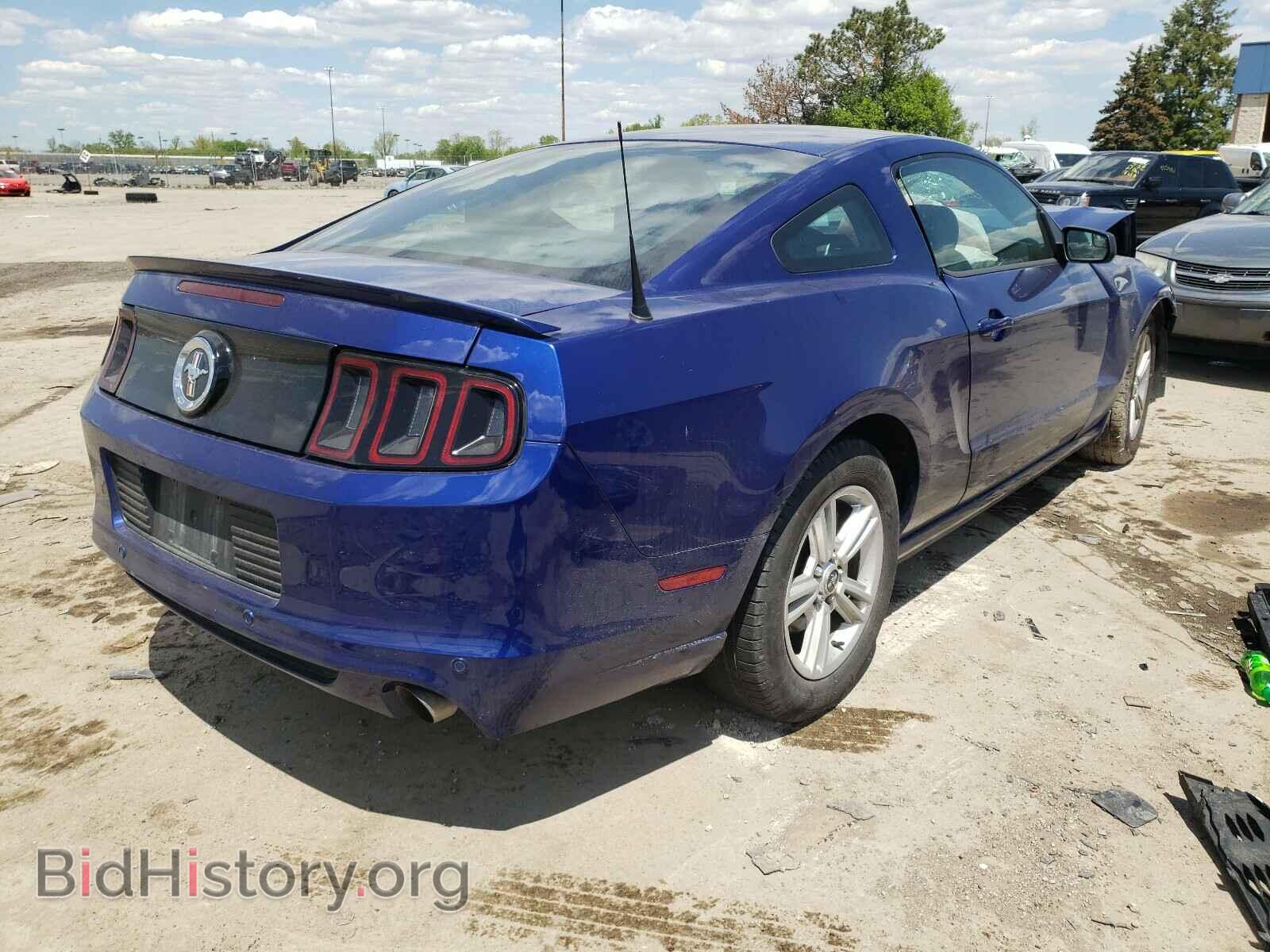 2013 FORD MUSTANG - VIN: 1ZVBP8AM4D5264025 - Фото 4