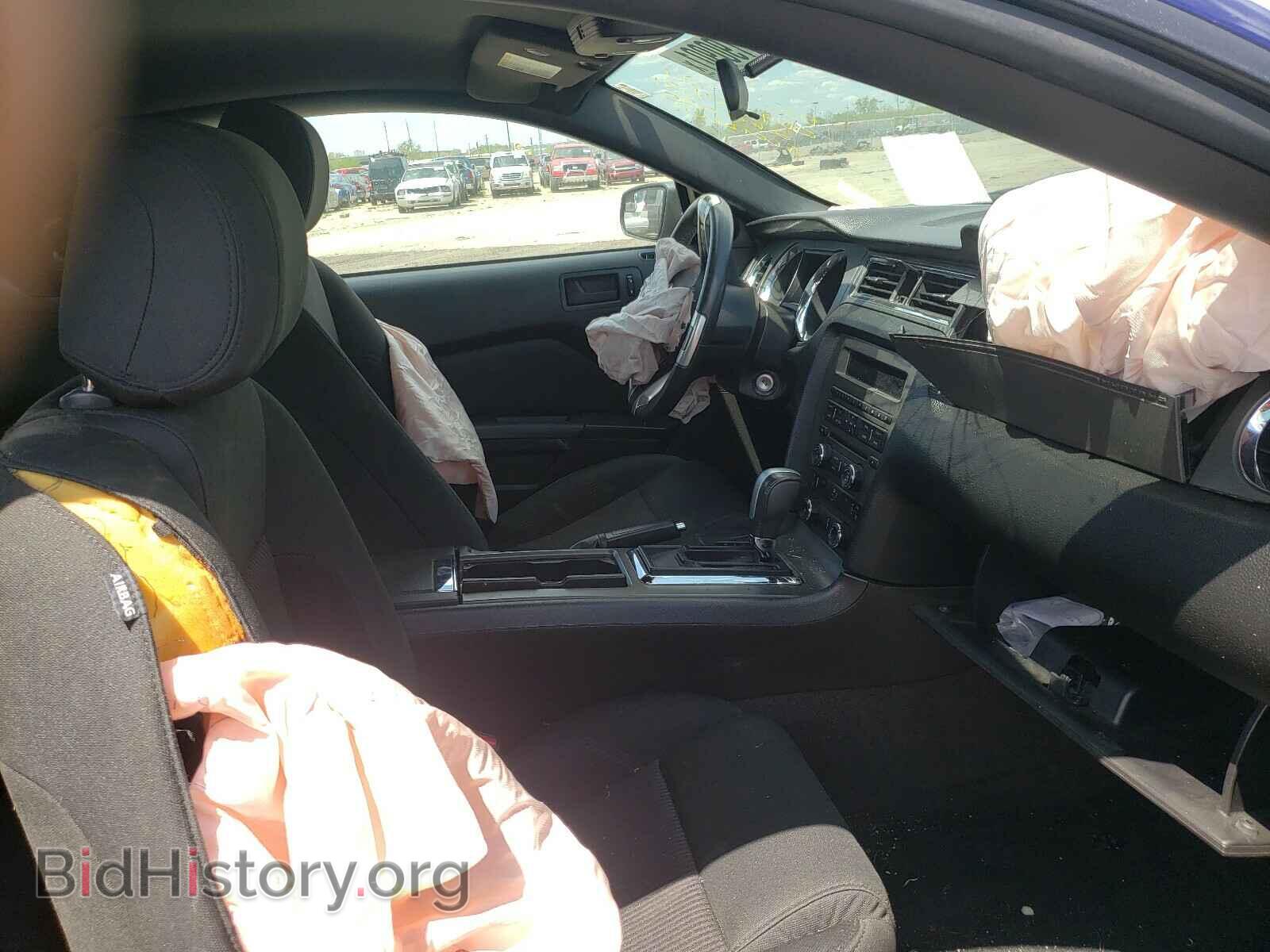 2013 FORD MUSTANG - VIN: 1ZVBP8AM4D5264025 - Фото 5