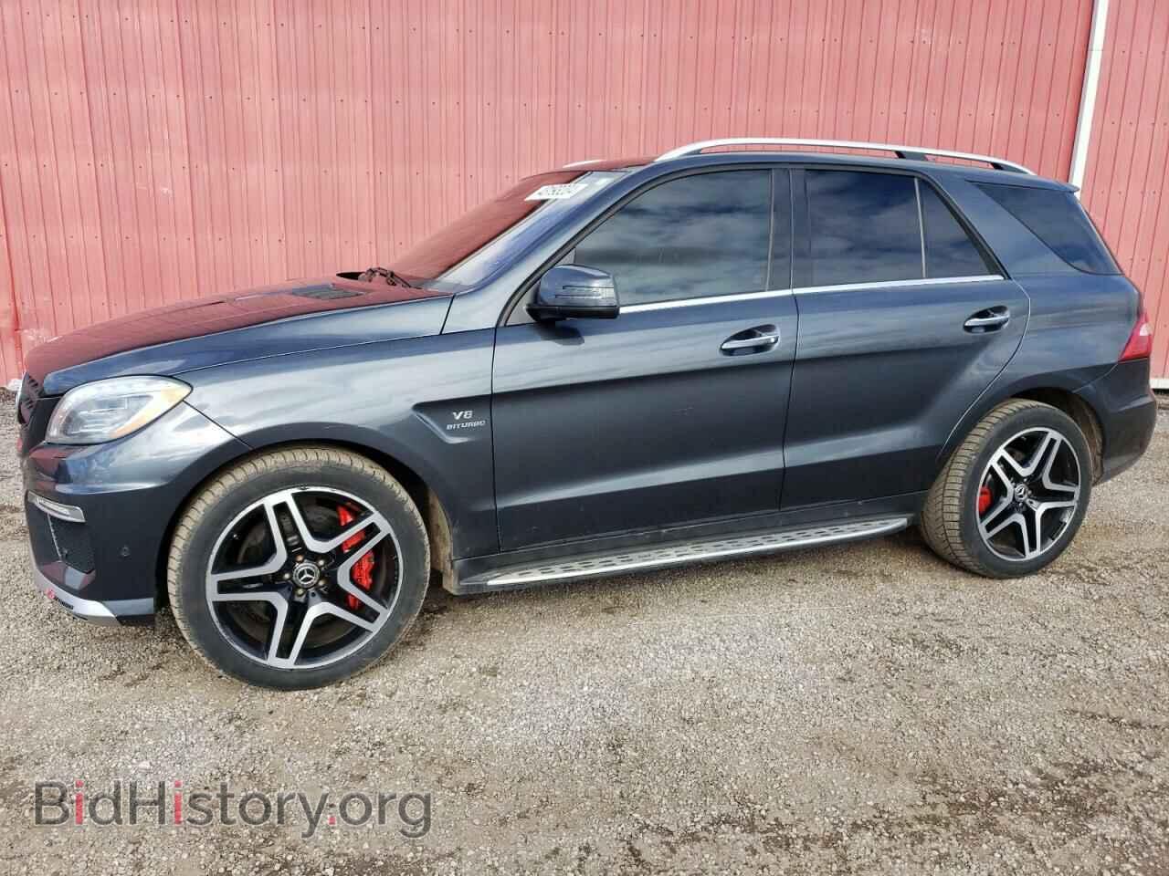 Фотография 4JGDA7EB7EA406646 - MERCEDES-BENZ M-CLASS 2014