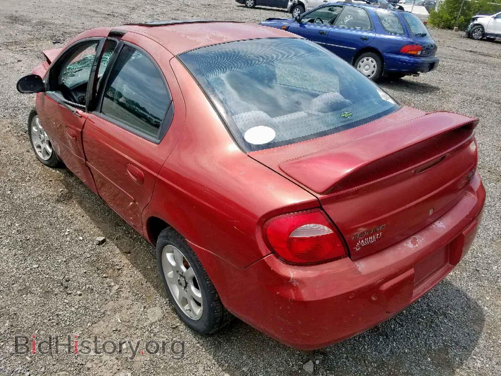 2003 DODGE NEON - VIN: 1B3ES56C03D172980 - Фото 3