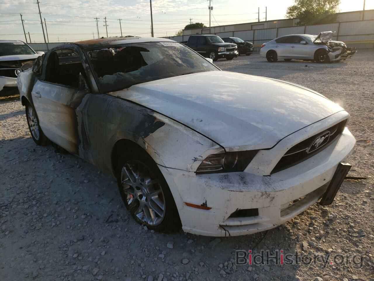 Photo 1ZVBP8AM5D5259304 - FORD MUSTANG 2013