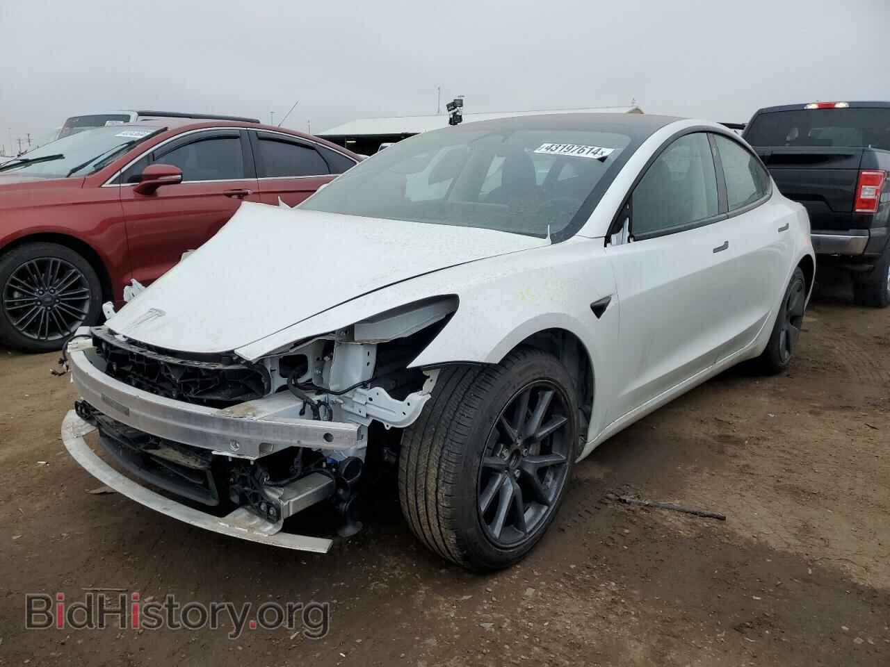 Photo 5YJ3E1EAXPF557452 - TESLA MODEL 3 2023