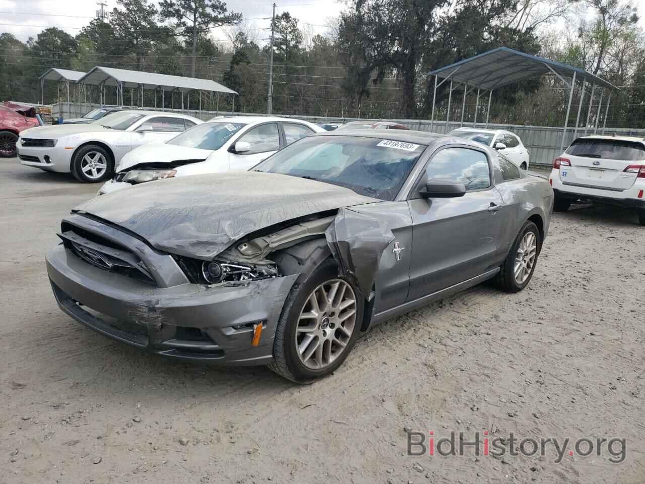 Photo 1ZVBP8AM5E5325626 - FORD MUSTANG 2014