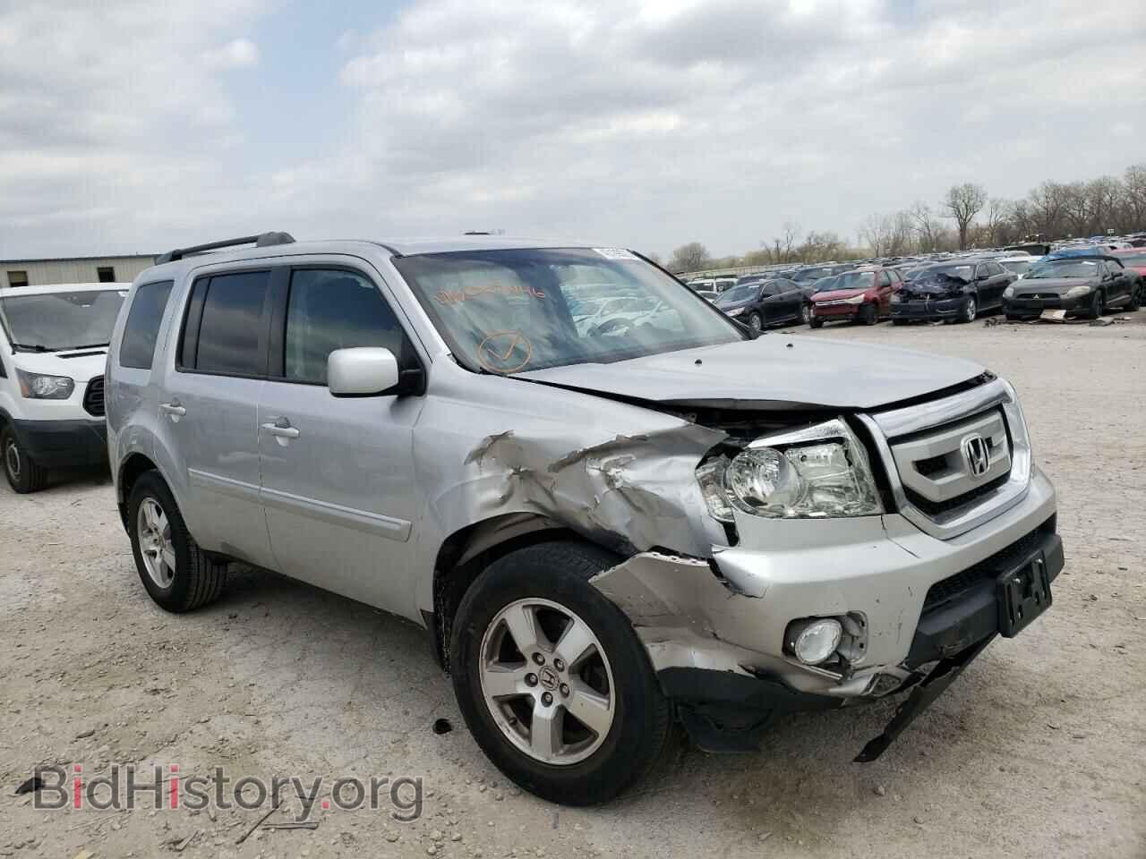 Фотография 5FNYF4H41BB007446 - HONDA PILOT 2011