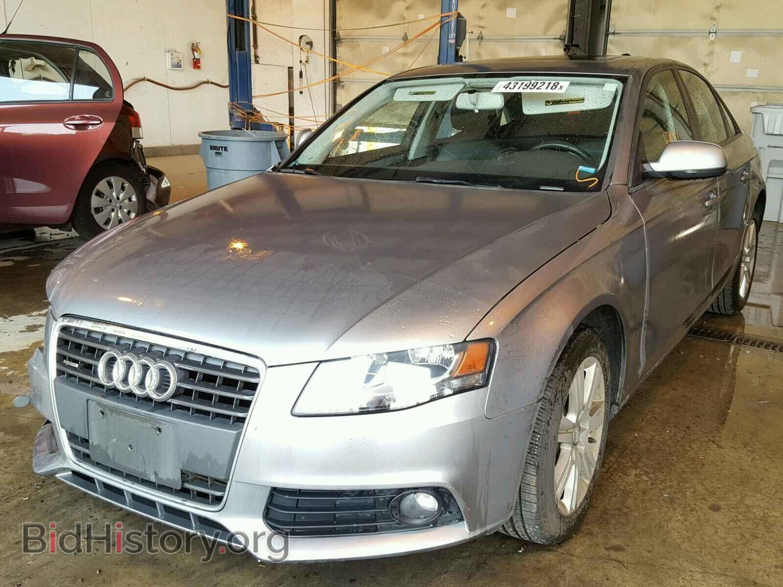 2011 AUDI A4 - VIN: WAUBFAFL4BN005591 - Фото 2