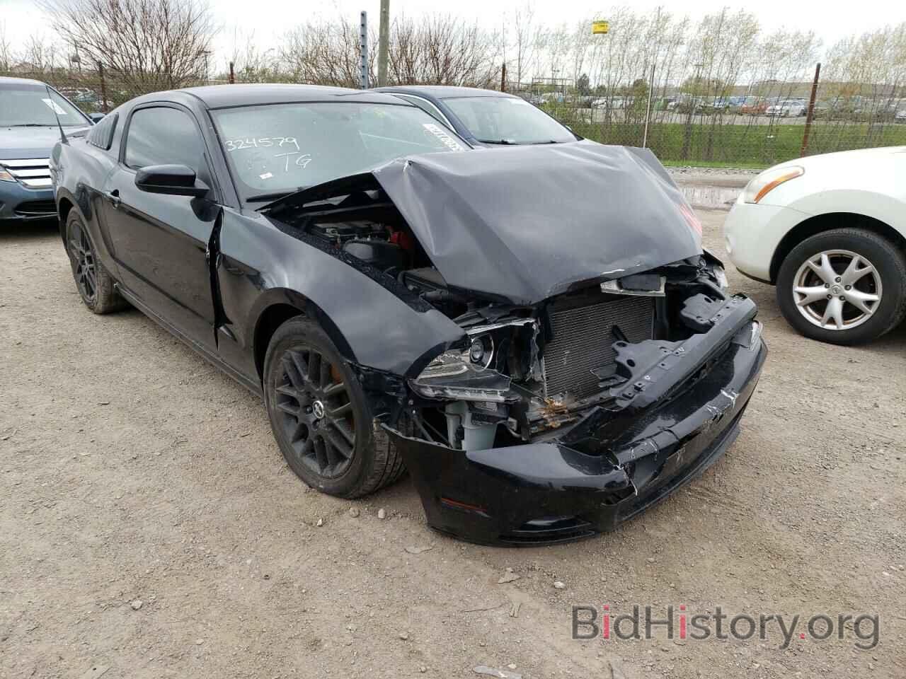 Photo 1ZVBP8AM6E5324579 - FORD MUSTANG 2014