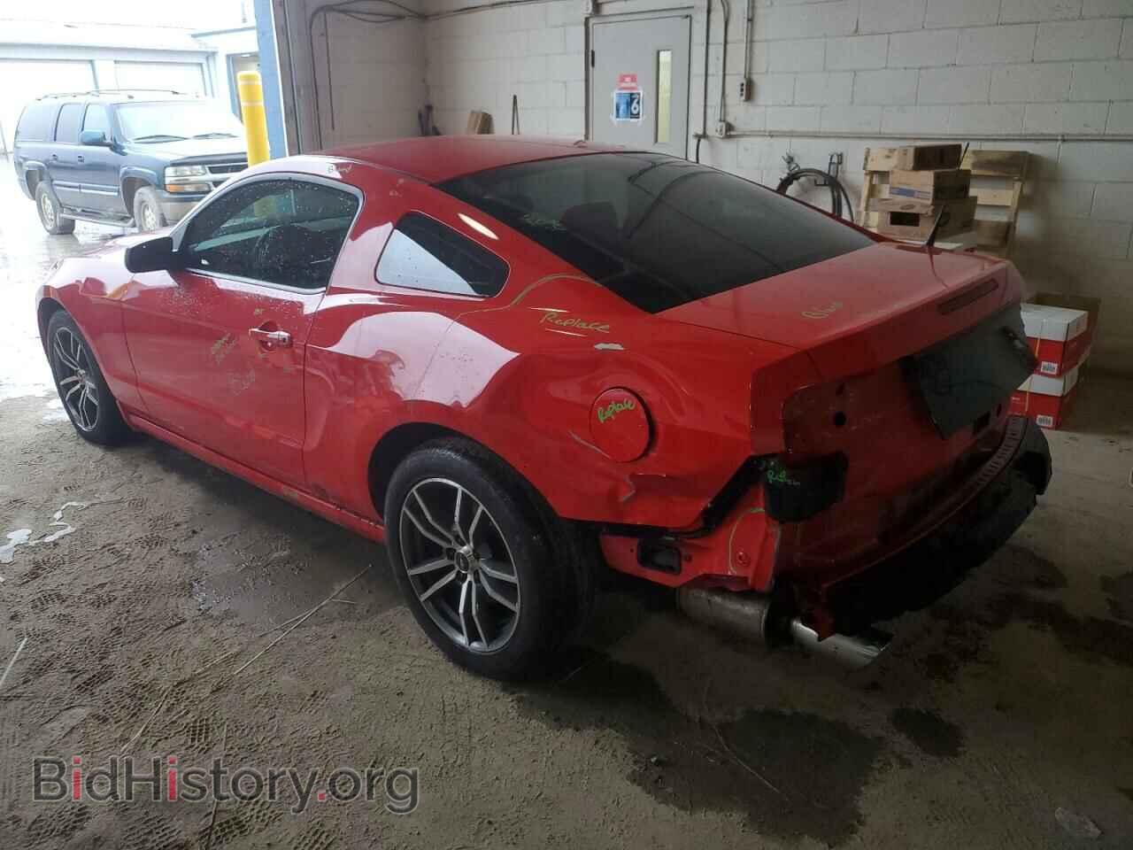 2014 FORD MUSTANG - VIN: 1ZVBP8AMXE5249644 - Фото 2