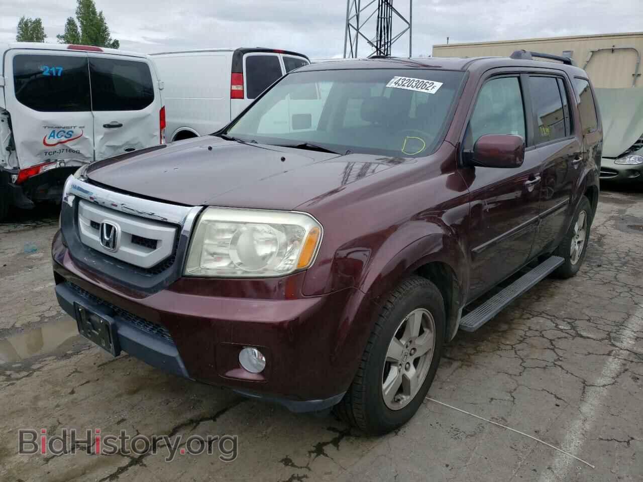 2009 HONDA PILOT - VIN: 5FNYF48589B024327 - Фото 2