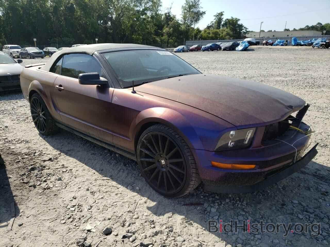 Photo 1ZVHT84N785143490 - FORD MUSTANG 2008