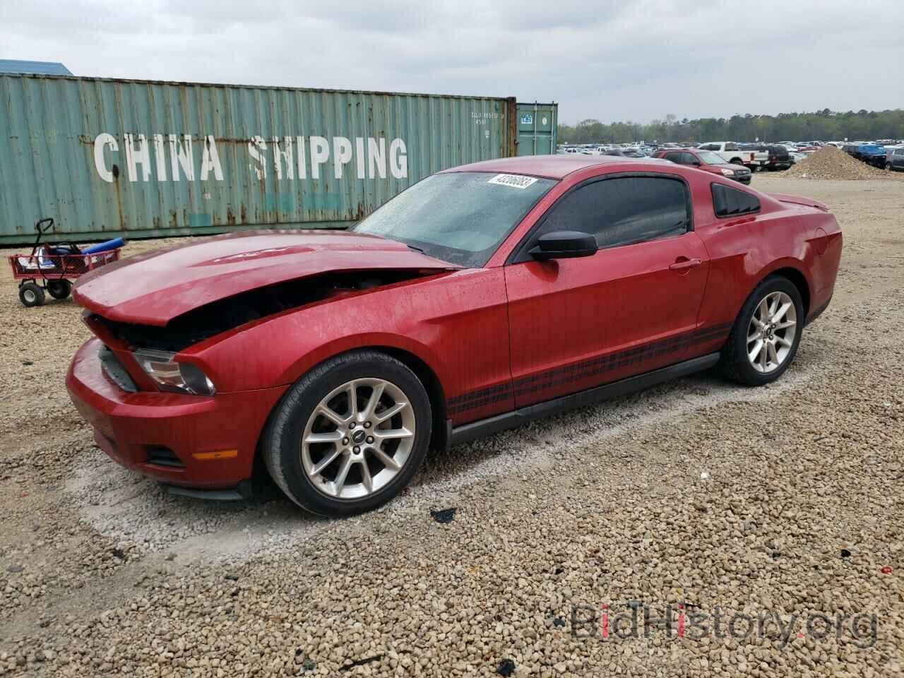 Photo 1ZVBP8AN4A5156802 - FORD MUSTANG 2010