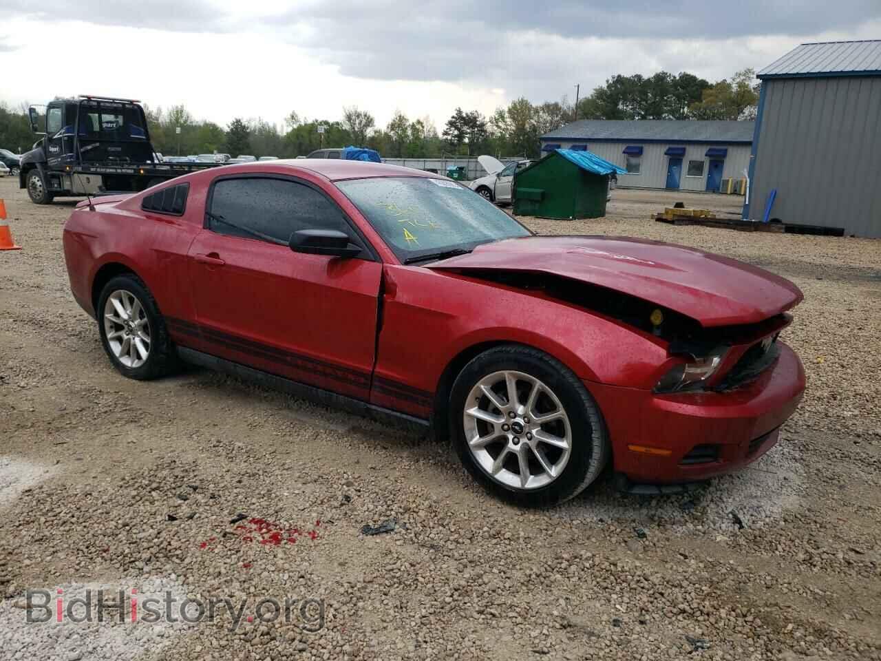 2010 FORD MUSTANG - VIN: 1ZVBP8AN4A5156802 - Фото 4