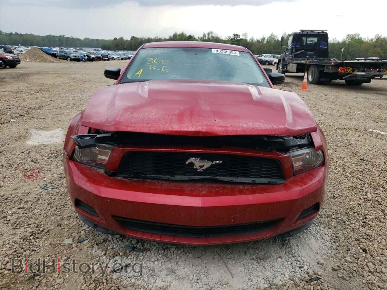 2010 FORD MUSTANG - VIN: 1ZVBP8AN4A5156802 - Фото 5