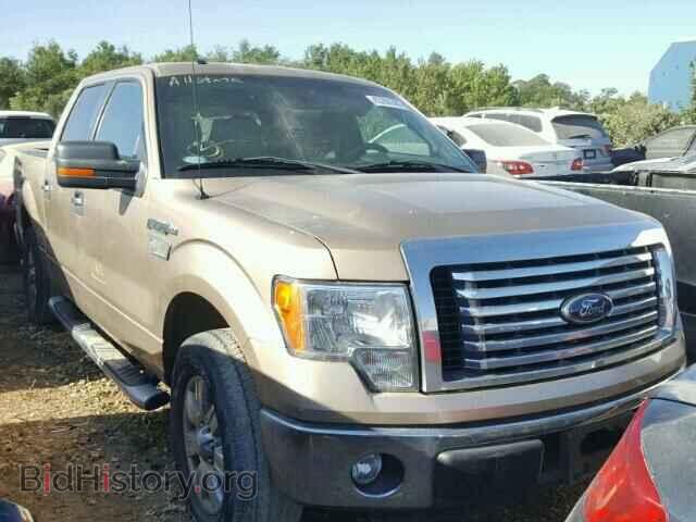 Photo 1FTFW1CF1CKE20342 - FORD F150 2012
