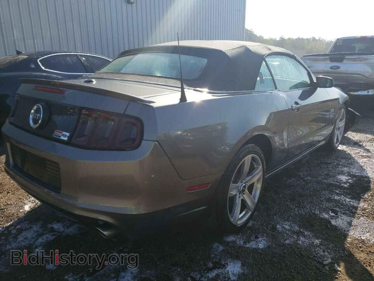 2013 FORD MUSTANG - VIN: 1ZVBP8FF7D5201026 - Фото 4