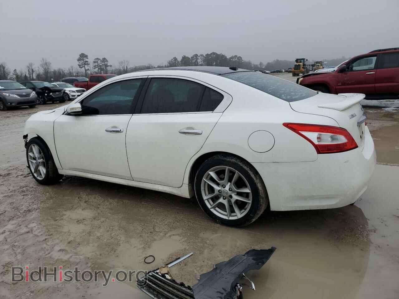 2009 NISSAN MAXIMA - VIN: 1N4AA51E89C821826 - Фото 2