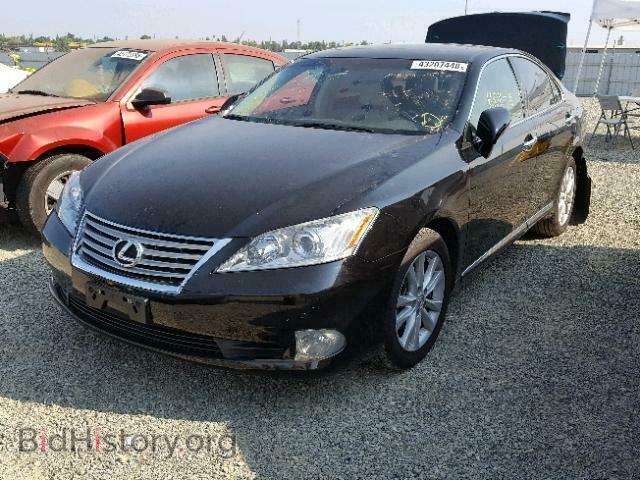 2011 LEXUS ES350 - VIN: JTHBK1EG8B2461497 - Фото 2