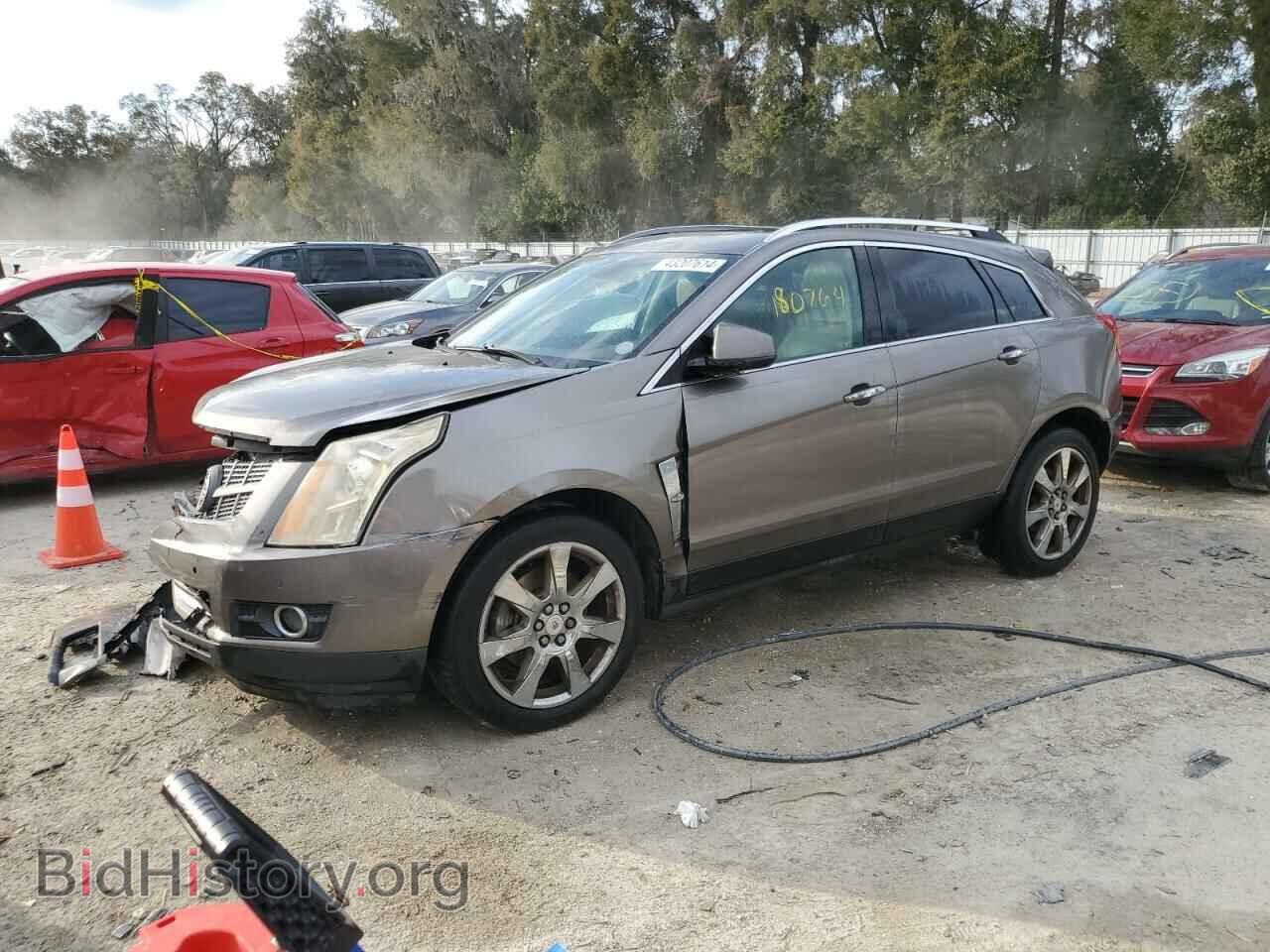 Фотография 3GYFNAE39CS506776 - CADILLAC SRX 2012