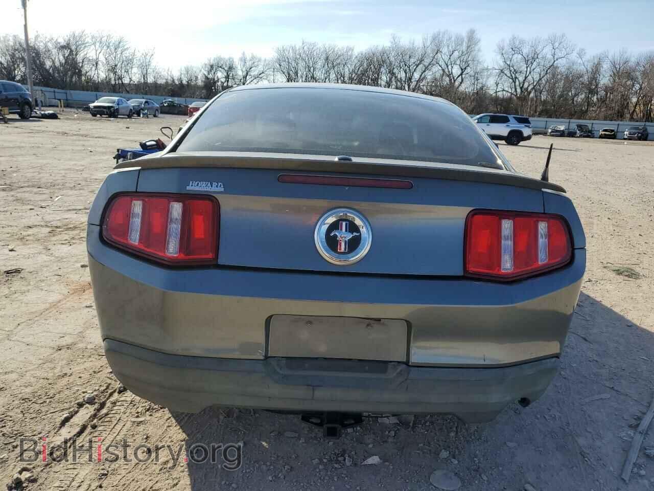 2010 FORD ALL Models - VIN: 1ZVBP8AN3A5106800 - Фото 6