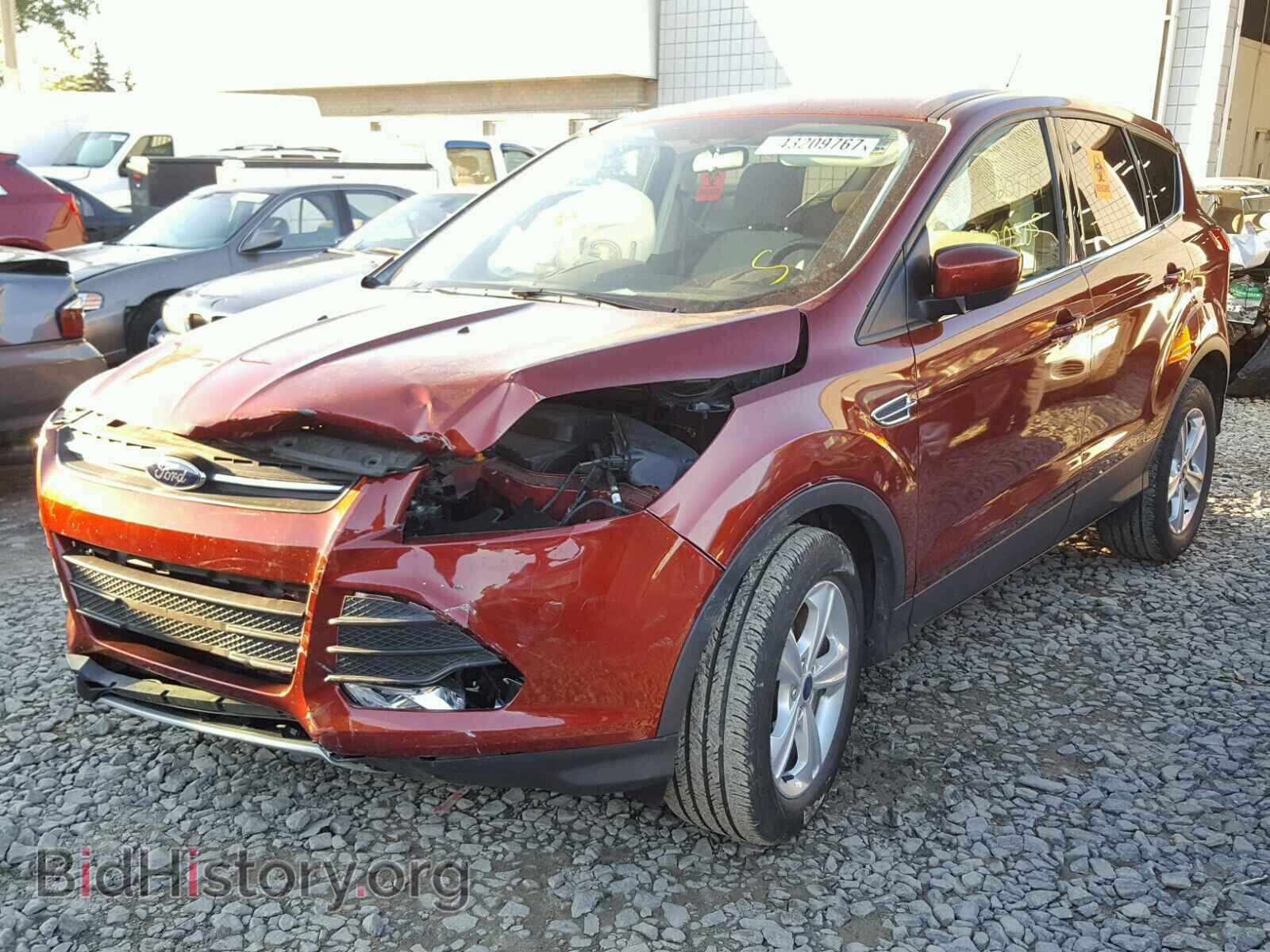 2014 FORD ESCAPE - VIN: 1FMCU0GX2EUC68452 - Фото 2