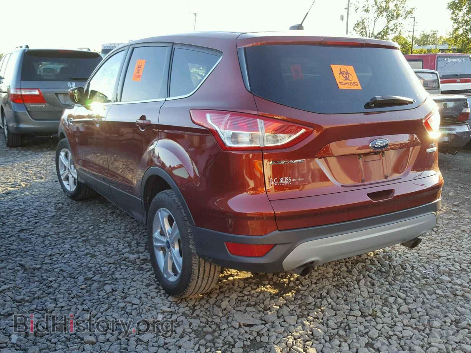 2014 FORD ESCAPE - VIN: 1FMCU0GX2EUC68452 - Фото 3