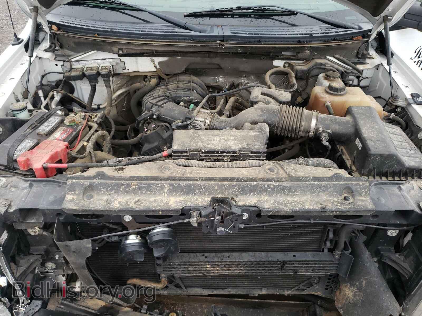 2013 FORD F150 - VIN: 1FTMF1EM0DFB84554 - Фото 7