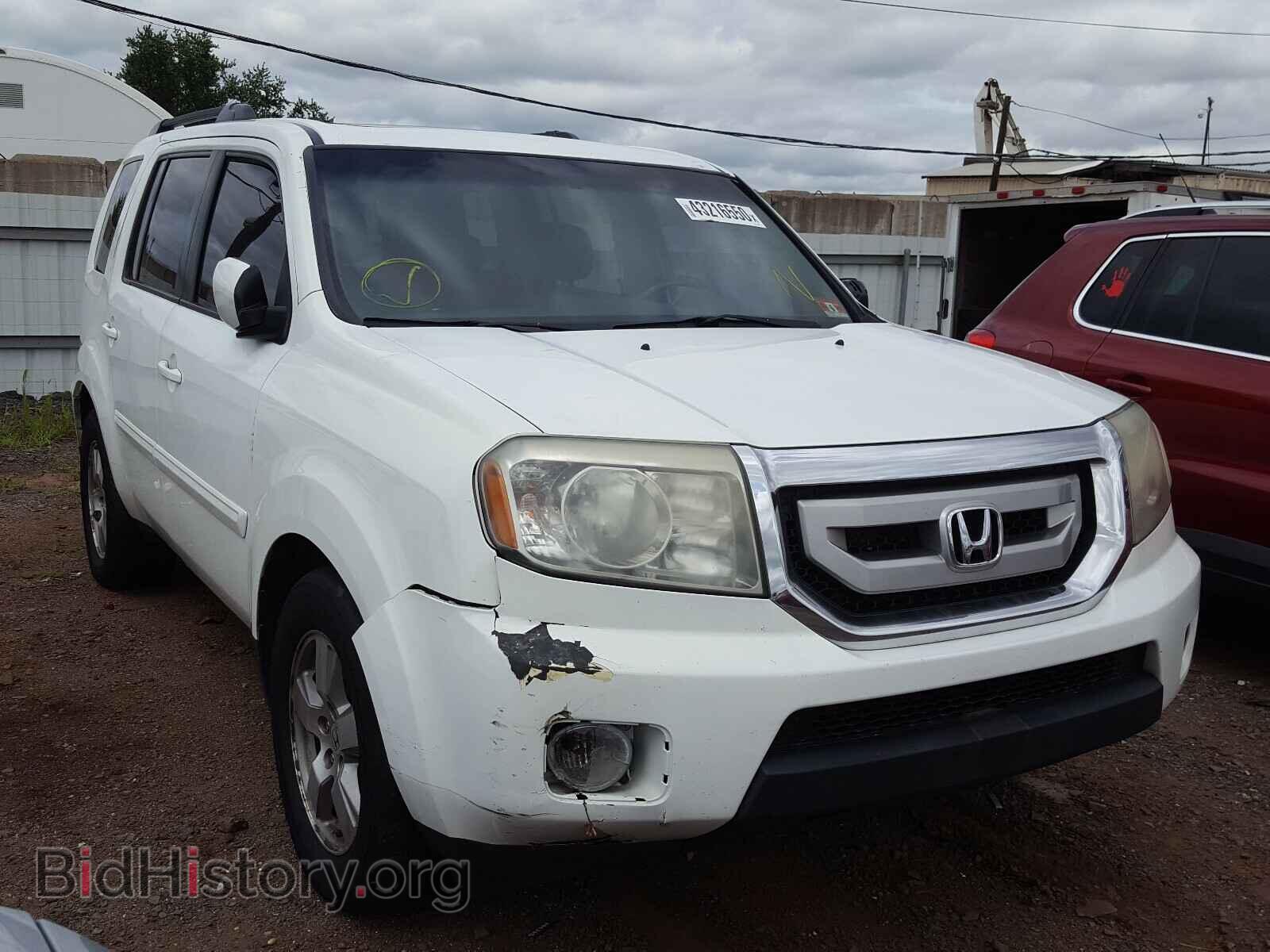 Фотография 5FNYF4H54BB031815 - HONDA PILOT 2011
