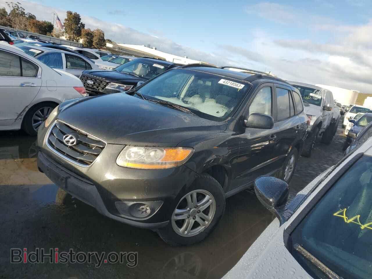 Фотография 5NMSGDAB2AH355684 - HYUNDAI SANTA FE 2010