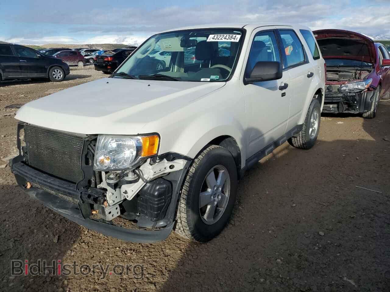 Photo 1FMCU0C76BKC52302 - FORD ESCAPE 2011
