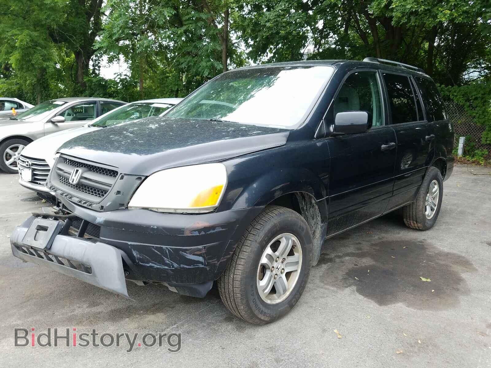 2005 HONDA PILOT - VIN: 2HKYF18445H570219 - Фото 2