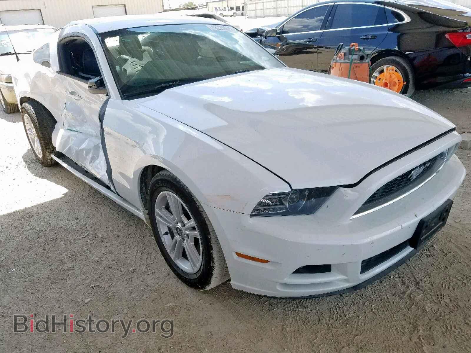 Фотография 1ZVBP8AM7E5332643 - FORD MUSTANG 2014