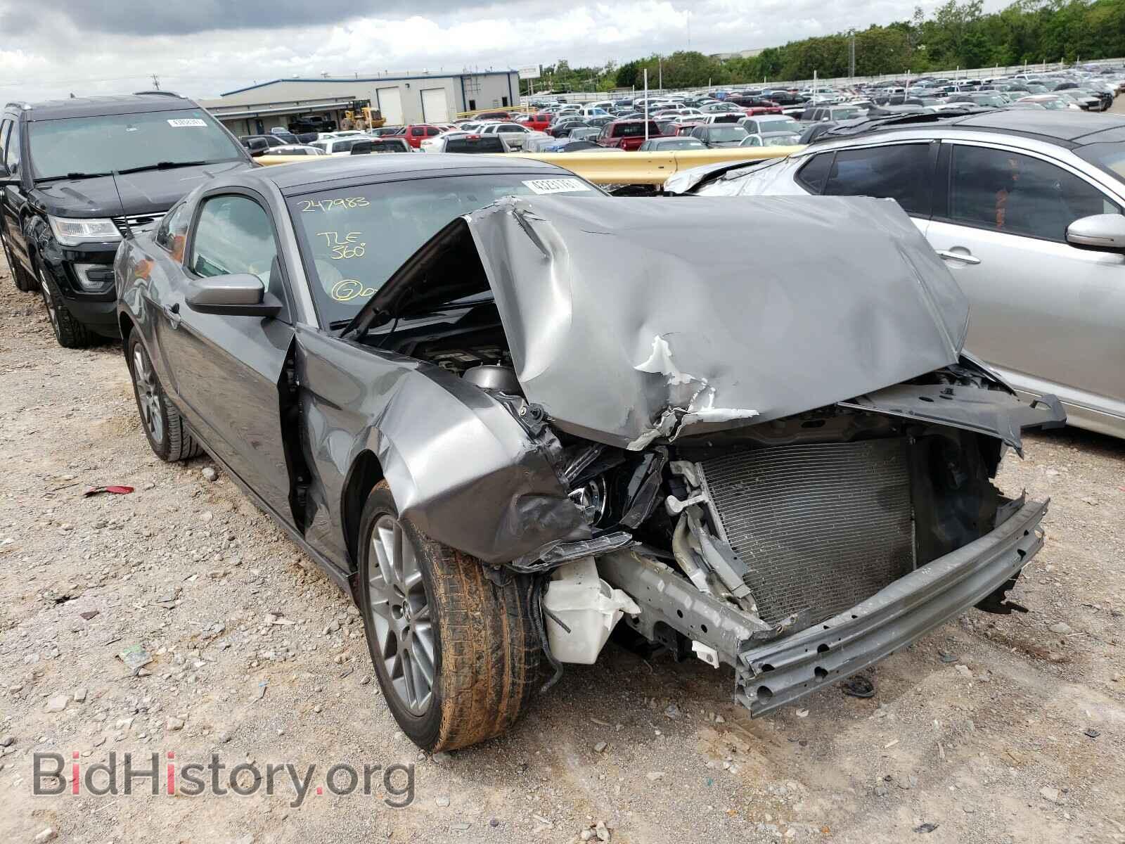 Photo 1ZVBP8AM0E5247983 - FORD MUSTANG 2014