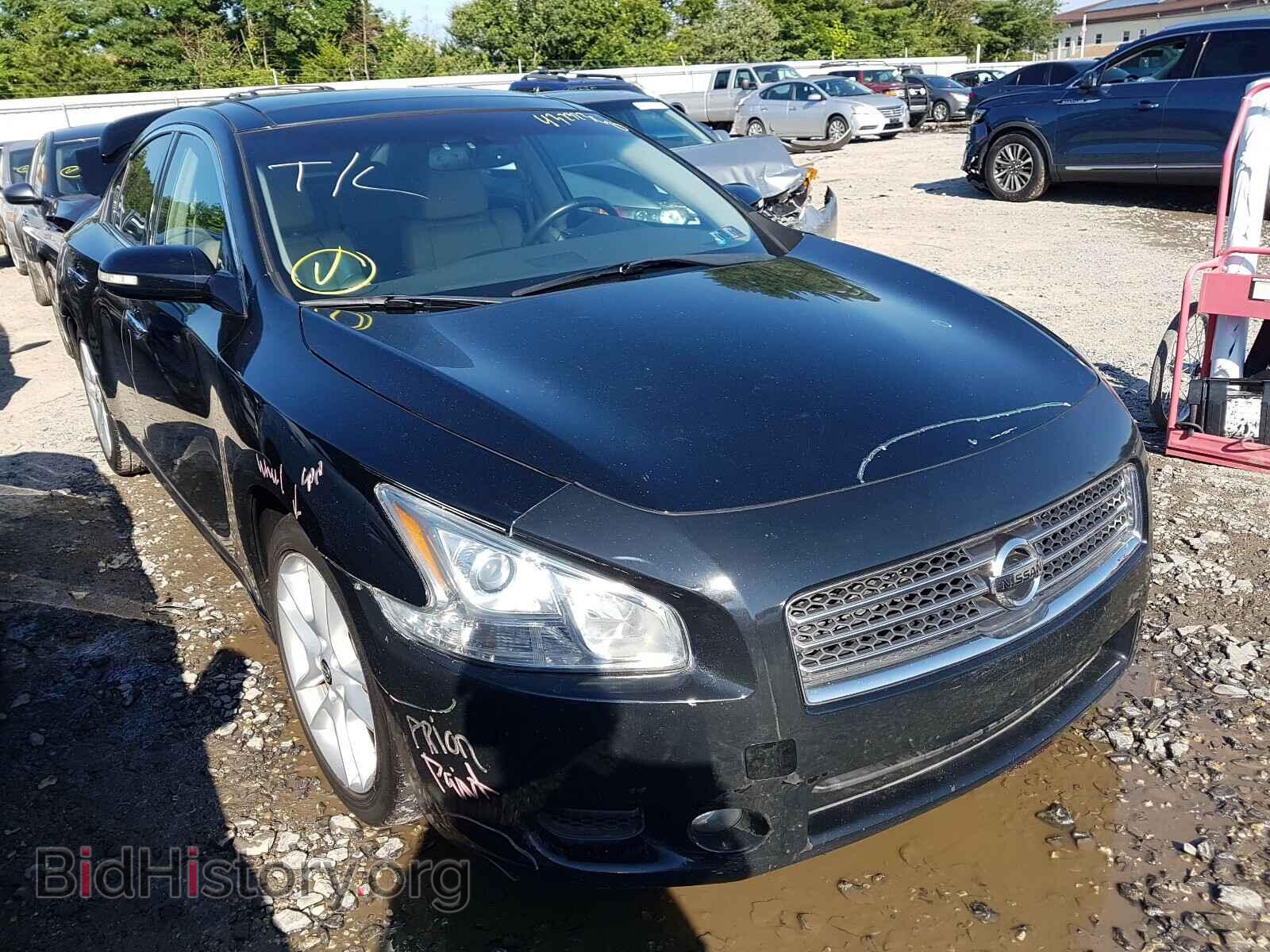 Фотография 1N4AA5AP8BC851965 - NISSAN MAXIMA 2011